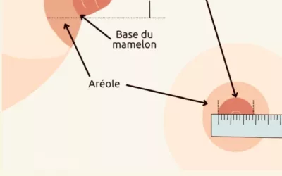 Quelle taille de téterelle ?